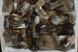 Lot: Lbs Smoky Quartz Crystals (-) - Brazil #77828-2
